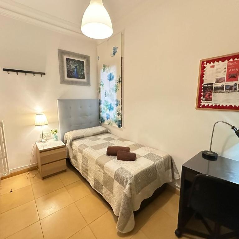 Alojamiento Nuevo Balmes - Single Room with Shared Bathroom - 1