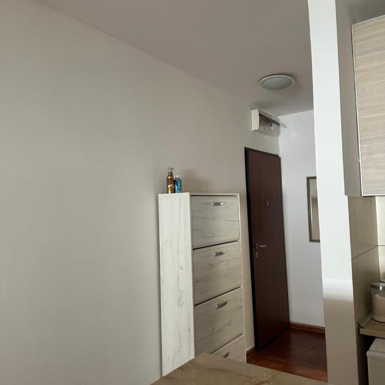 Apartmani M&S - Apartman sa 1 Spavaćom Sobom - 3