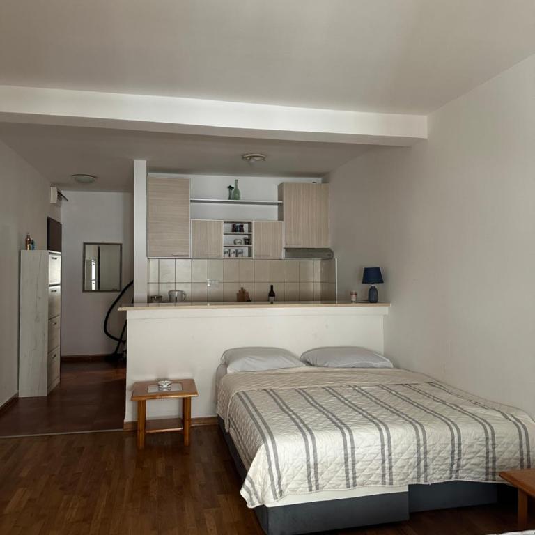 Apartmani M&S - Apartman sa 1 Spavaćom Sobom - 7