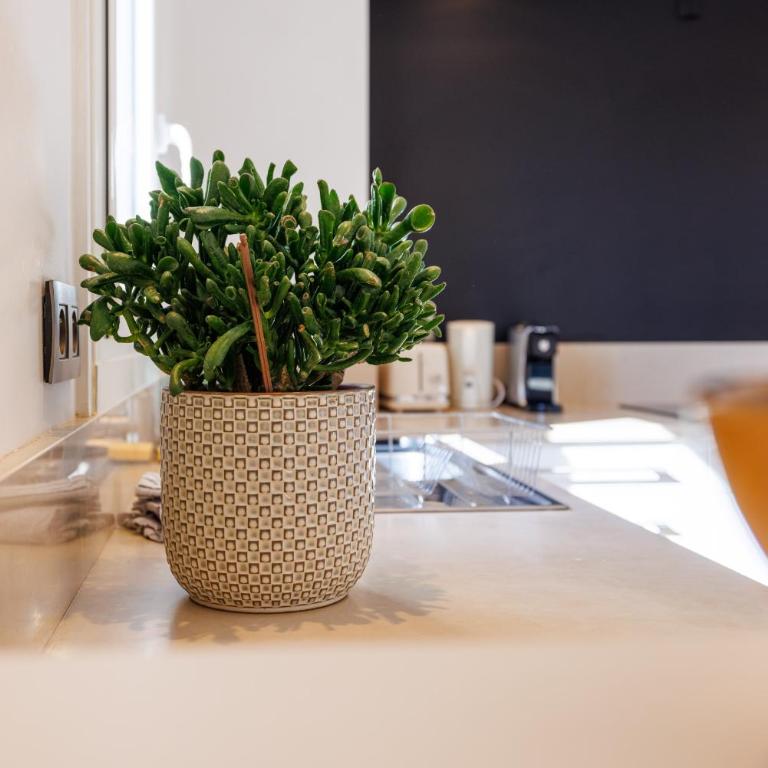 Apt le Nid - Appartement - 3
