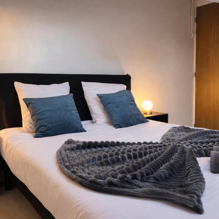 Le Perchoir de Picasso Nancy Gare Cosy sous les toits 3 Pers - Appartement 2 Chambres - 15