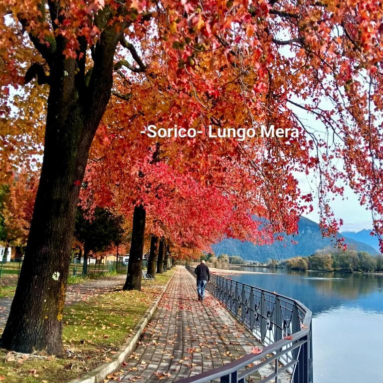 Lake Como PORTO VECCHIO - Charming Lakefront Apartment in the Heart of Domaso - Appartamento con 1 Camera da Letto - 80