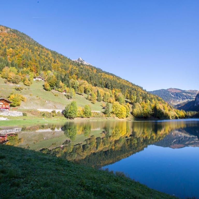 Gentianes Chalet - Snow and Trek - Morzine - Three-Bedroom Apartment with Mountain View - 32