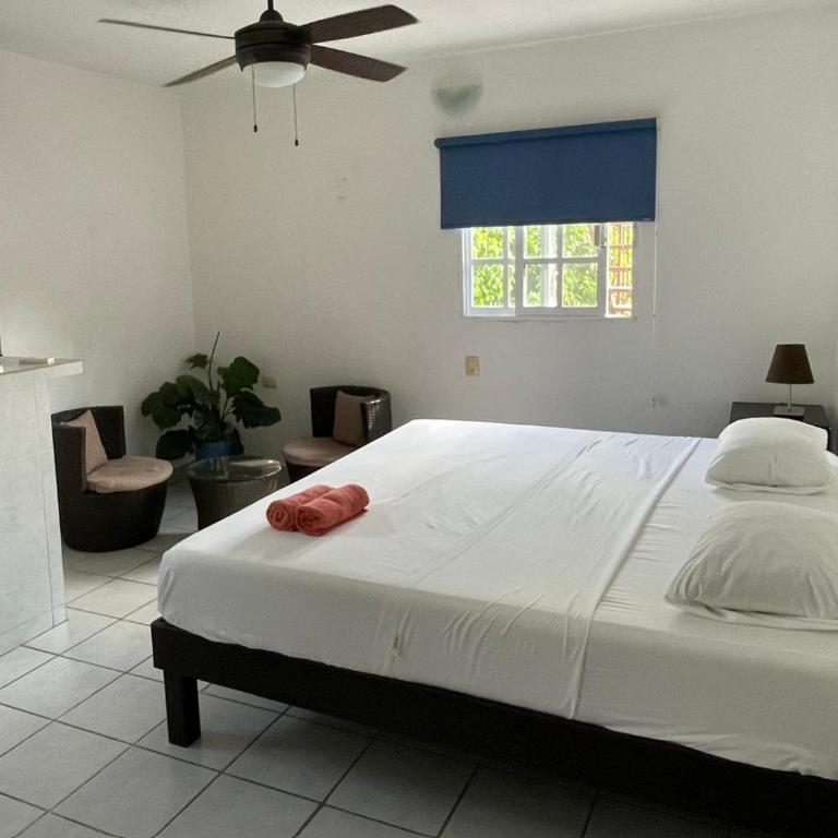 Caribo Cozumel - Habitación Superior con cama extragrande - 7