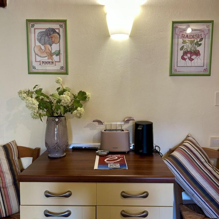 Little Cozy Old Town Lucca with AirC and Wifi - One-Bedroom Apartment - 21