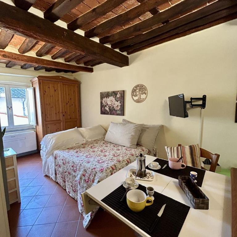 Little Cozy Old Town Lucca with AirC and Wifi - One-Bedroom Apartment - 26