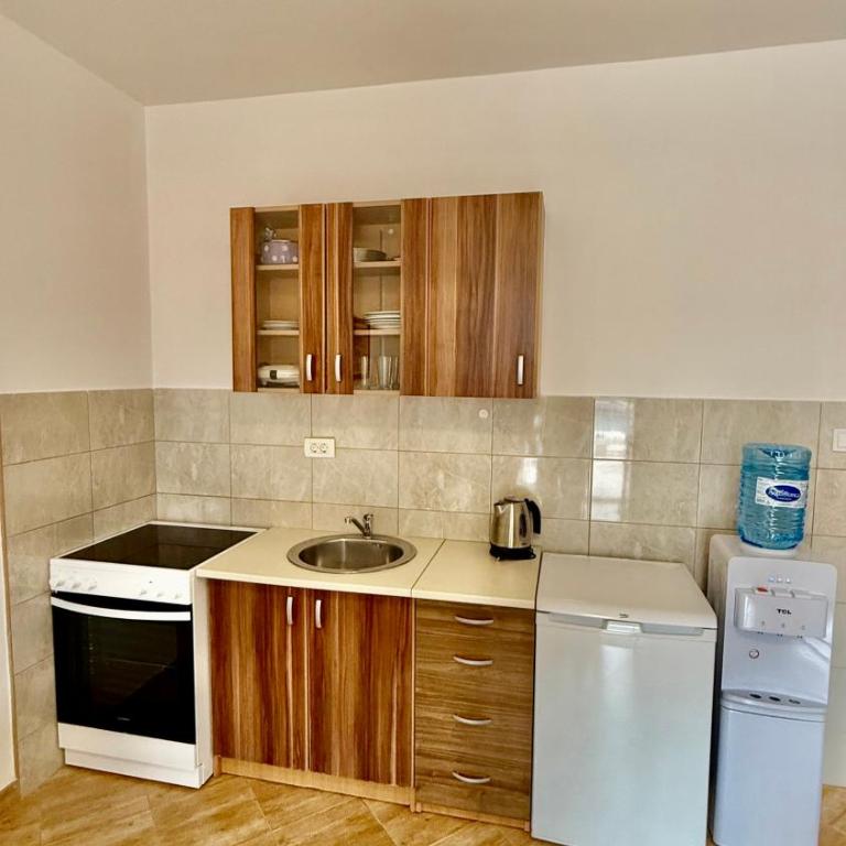 Apartments Lazarević - Apartment with Terrace - 1