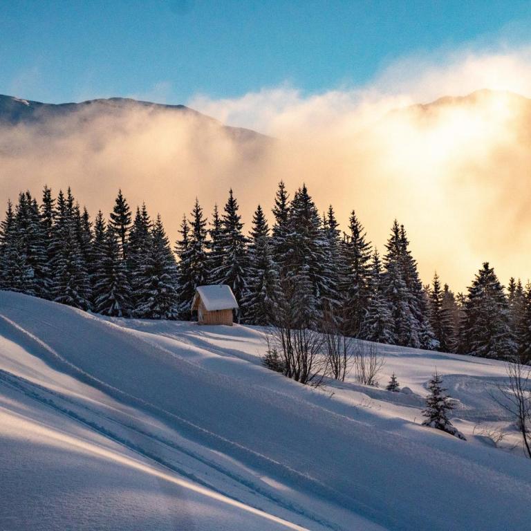 Pleney Apartment - Snow and Trek- Morzine - Apartment - 15