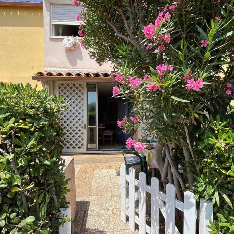 Appartement 4 pers avec Terrasse et Parking à Narbonne - FR-1-619-153 - Apartment - 14