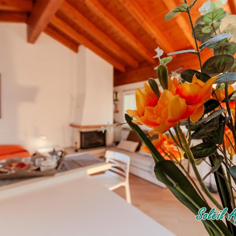 Casa Monique Apartments - Appartamento Monolocale - 12