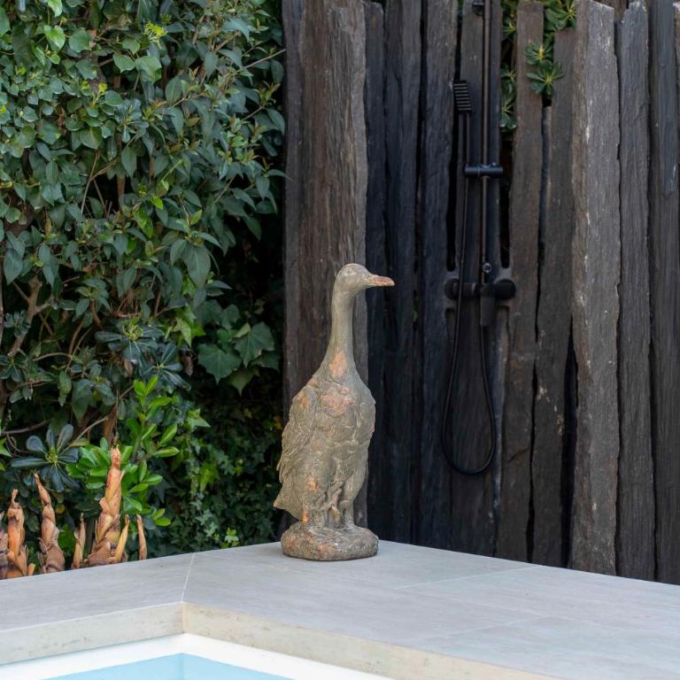 Le Cabanon Cap d Antibes 80 m de la plage - Villa 2 Chambres - 16