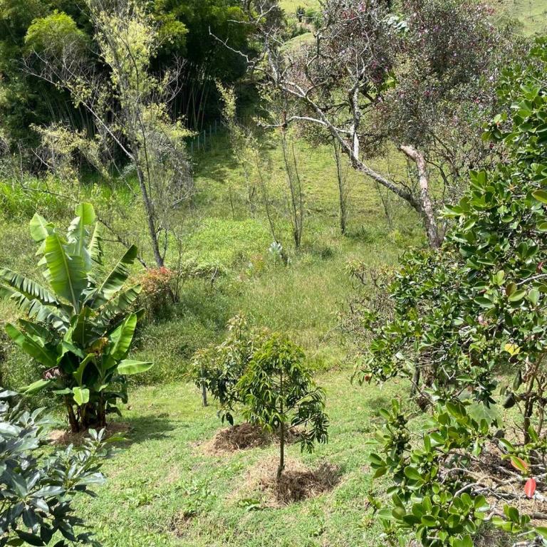 El Rancho de Tato - Apartamento de 2 dormitorios - 32