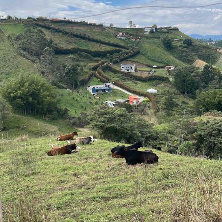 El Rancho de Tato - Apartamento de 2 dormitorios - 38