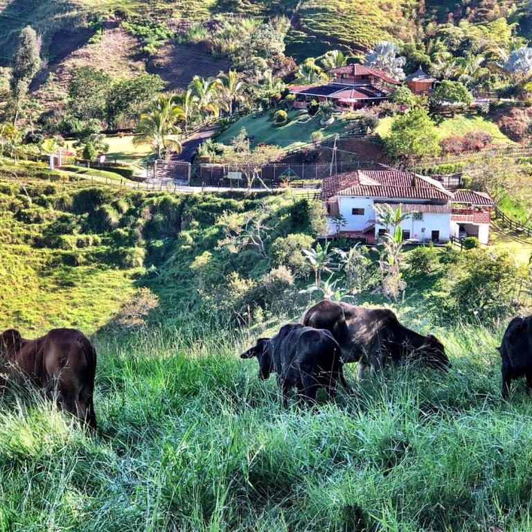 Finca Las Acacias Ecohome - Four-Bedroom House - 11
