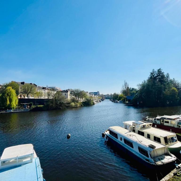 Coup de foudre sur Erdre - Appartement 1 Chambre - 1