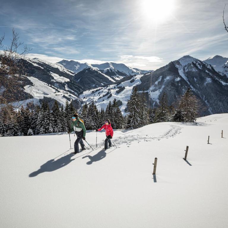 ALM SEASONS PREMIUM CHALET - ganzes Chalet - Chalet - 19