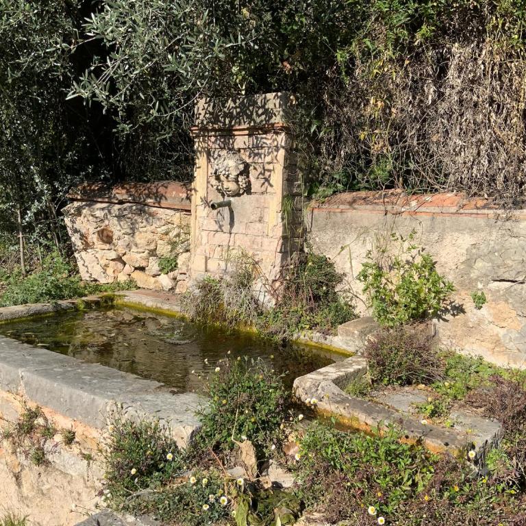 Bastide provençale dans la capitale du parfum - Appartement 3 Chambres - 34