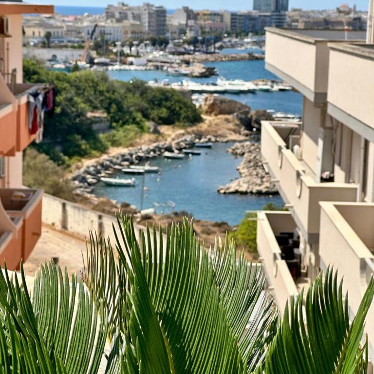 Attico vista mareblu - Appartamento con 1 Camera da Letto - 5