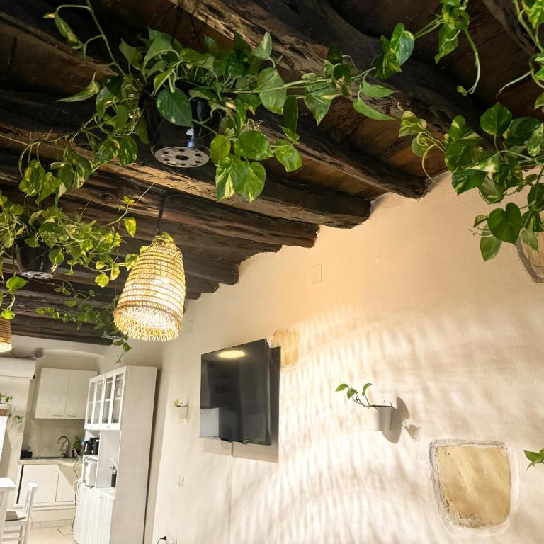 Kalma - at the picturesque Via Stretta - Two-Bedroom Townhouse - 8