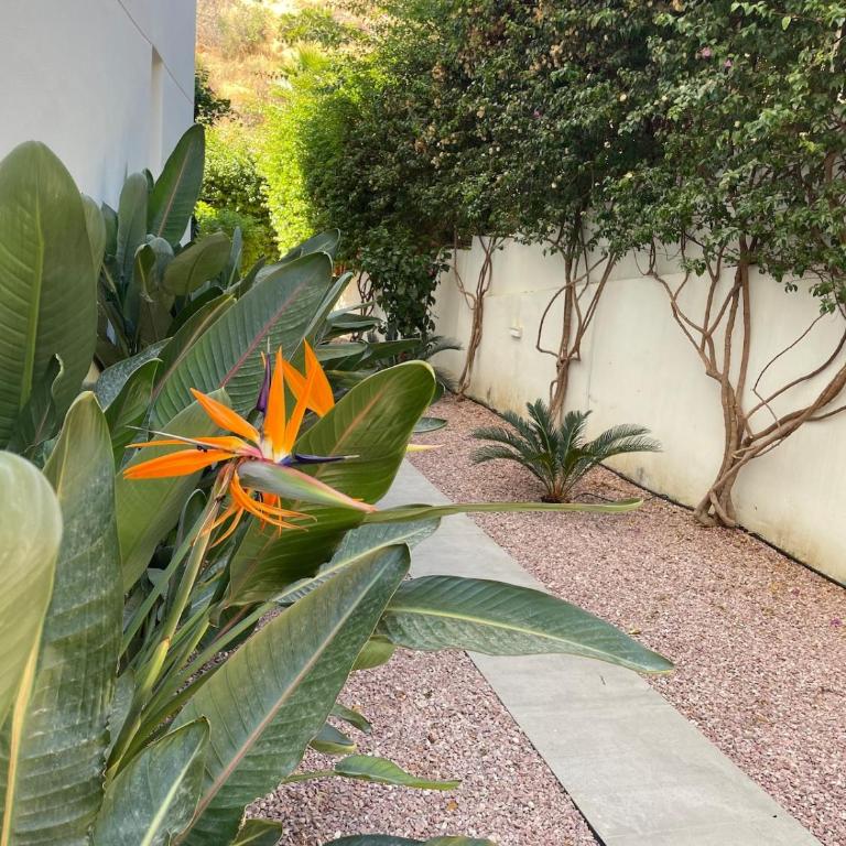 Private Garden Retreat with Pool, Walk to Beach - Casa Unifamiliar de 2 dormitorios - 11