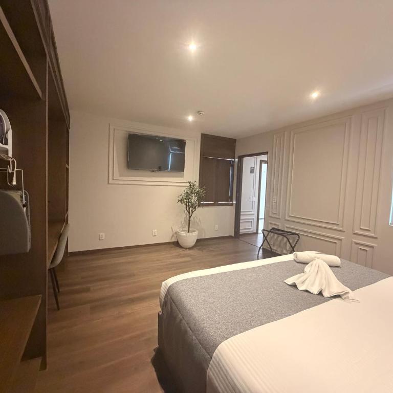Vista Catedral Guadalajara - Self Check in - Habitación Deluxe con cama extragrande - 4