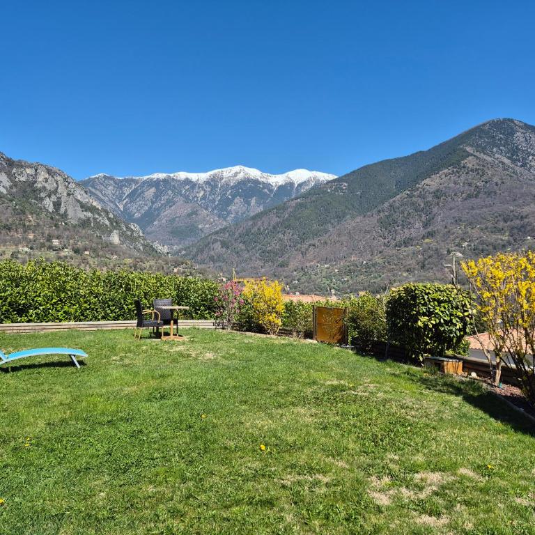 Villa les oliviers, vue montagnes avec jardin - Mercantour - Villa de 3 dormitorios - 16