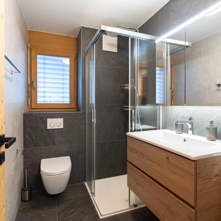 ski-in, ski-out, vue montagne, spa et sauna - Apartment - 16