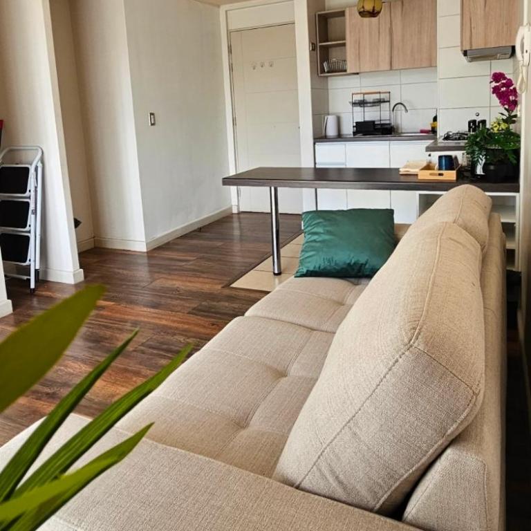 Depto moderno cerca de INACAP Valdivia - One-Bedroom Apartment - 7