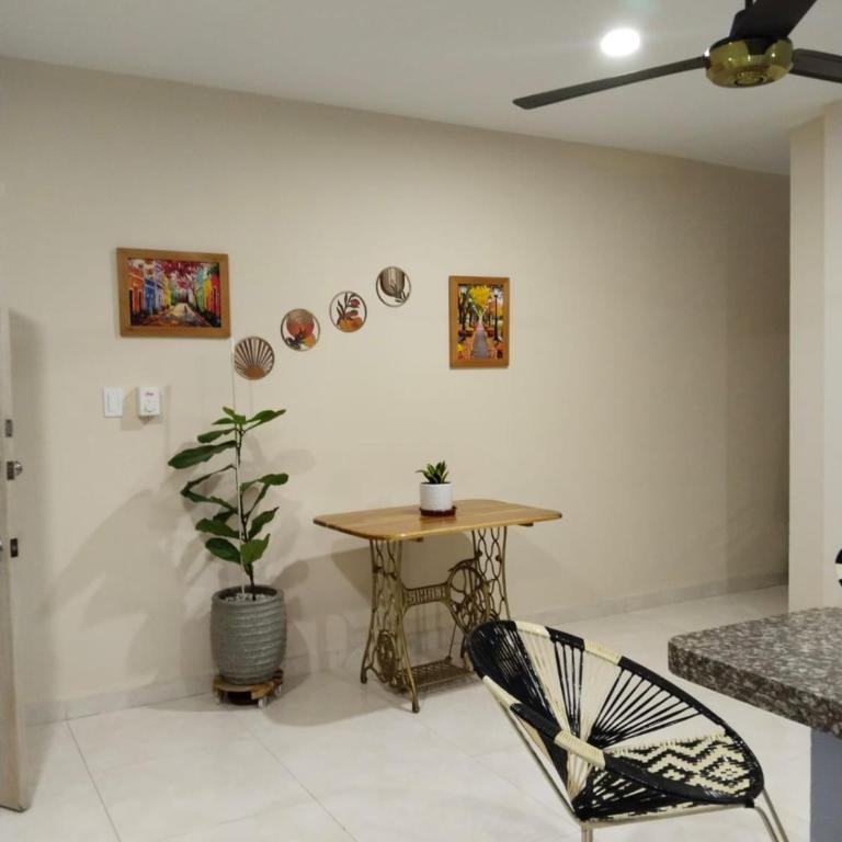 Oasis Olmos #2 - One-Bedroom Apartment - 7