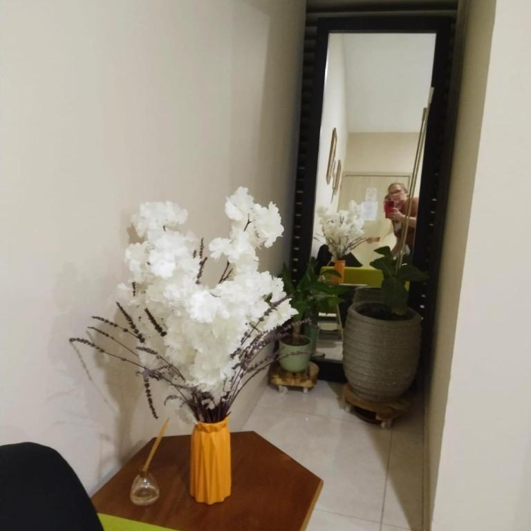 Oasis Olmos #2 - One-Bedroom Apartment - 8