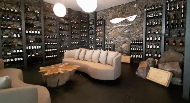 Syrah Premium mágico - Apartamento de 1 dormitorio - 14