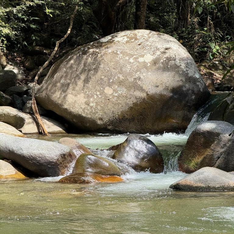 Country house in Minca, Milagro verde - Casa de 3 dormitorios - 22