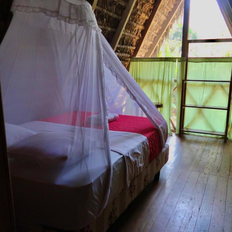 Sinchi Warmi Amazon Lodge - Single Room - 1