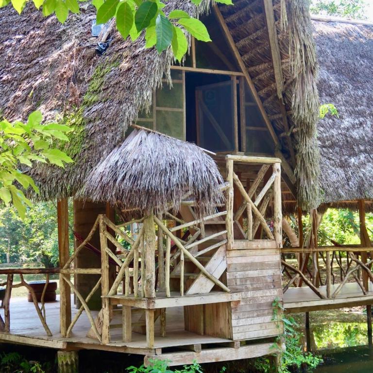 Sinchi Warmi Amazon Lodge - Single Room - 6