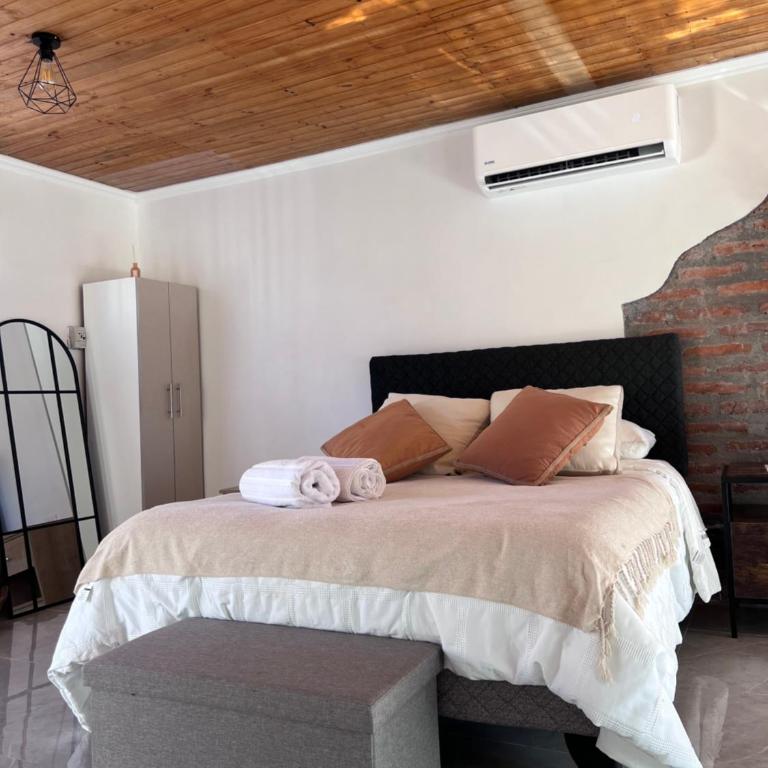 Casa Maly, valle de apalta, Santa Cruz - One-Bedroom Villa - 11