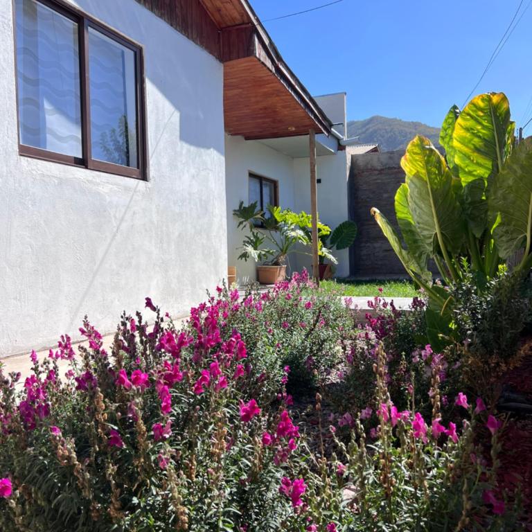 Casa Maly, valle de apalta, Santa Cruz - One-Bedroom Villa - 5