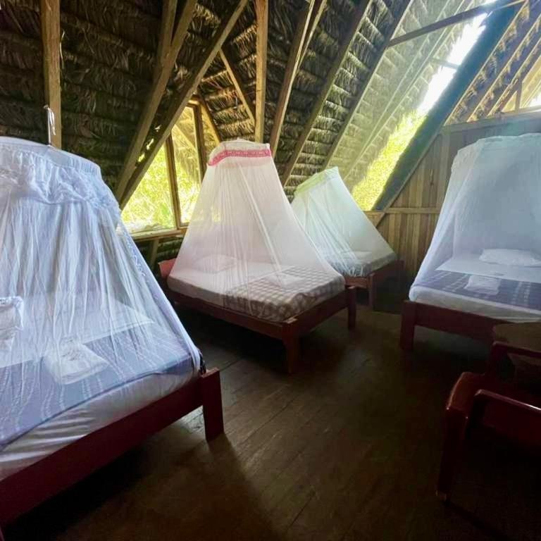 Sinchi Warmi Amazon Lodge - Quadruple Room - 1
