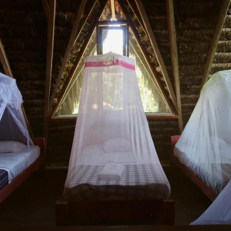 Sinchi Warmi Amazon Lodge - Quadruple Room - 2