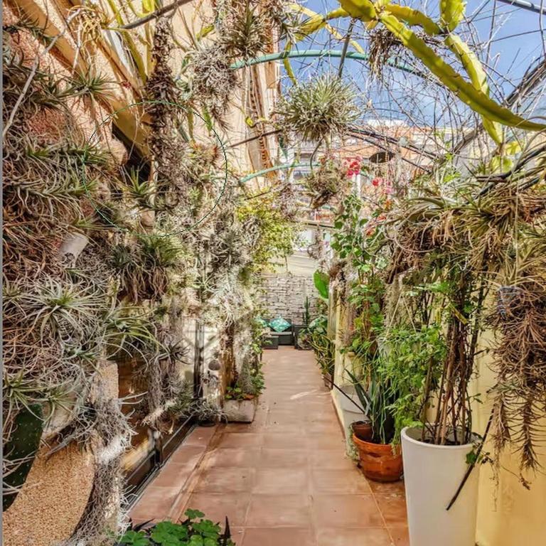 OASIS EPÍFITO URBANO Botanical Wellness Oasis near City of Arts & Sciencies - Double Room with Private Bathroom - 6