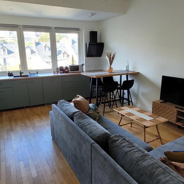 Charmant appartement vue Loire et Jardins - Apartamento de 1 dormitorio - 4