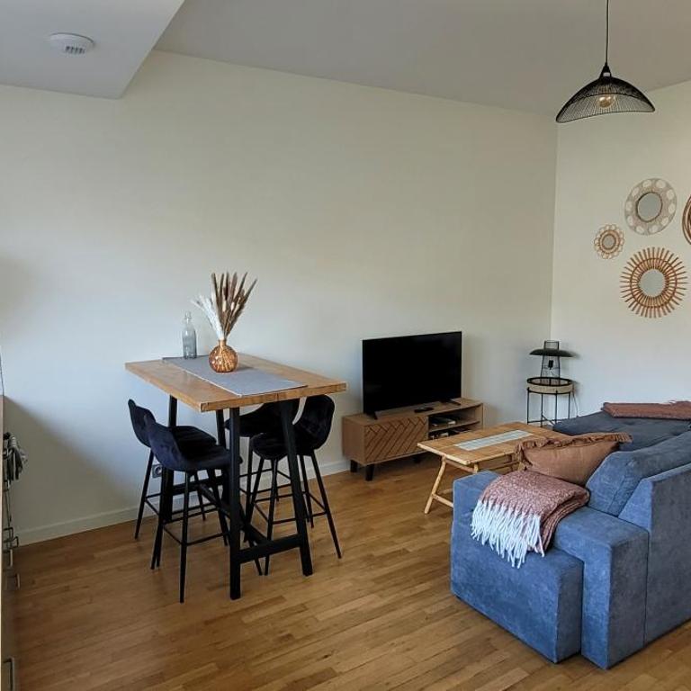 Charmant appartement vue Loire et Jardins - Apartamento de 1 dormitorio - 1