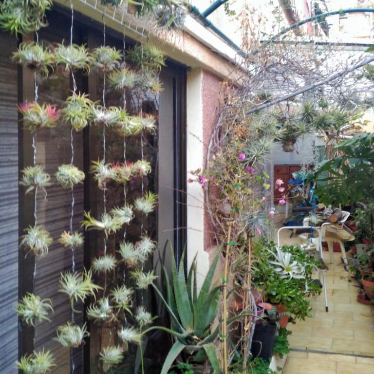 OASIS EPÍFITO URBANO Botanical Wellness Oasis near City of Arts & Sciencies - Double Room with Private Bathroom - 8