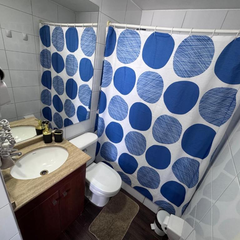 Depto en Santiago Centro con balcón y vista - parking opcional - Deluxe One-Bedroom Apartment with City View - 5
