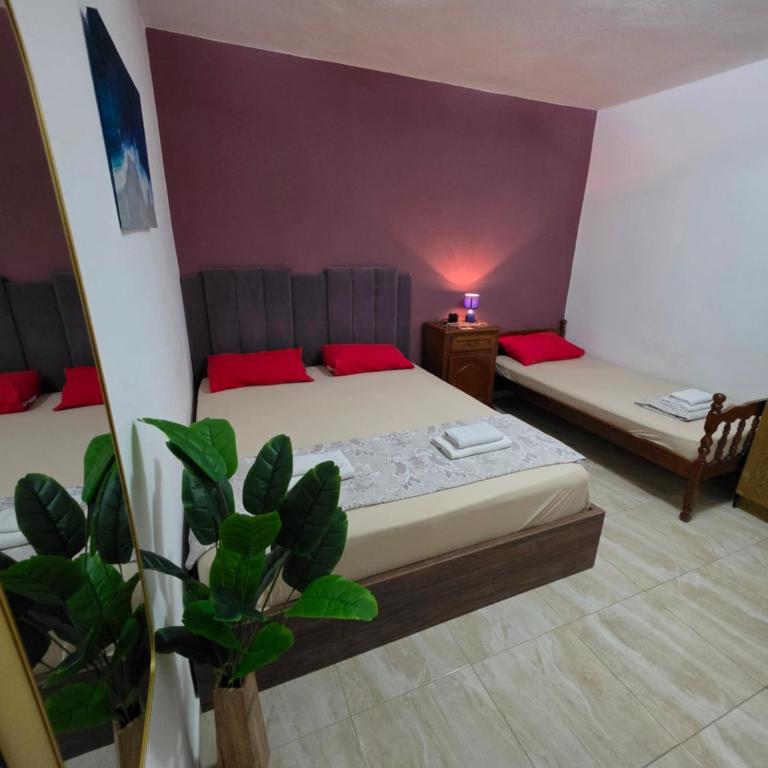 Viki Apartmani - Apartman sa 1 Spavaćom Sobom - 1