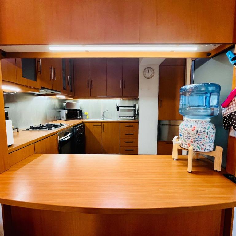BUHO Urban Family Providencia AC Parking - Three-Bedroom Apartment - 16