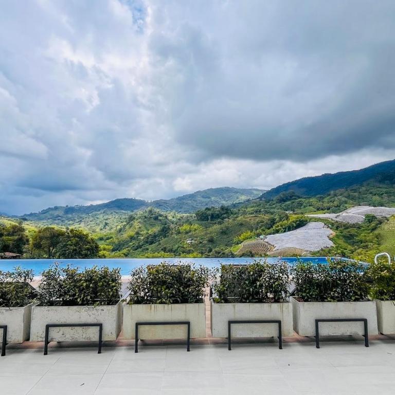 Cozy Apartment in exclusive Northern Area of Armenia - Three-Bedroom Apartment - 5