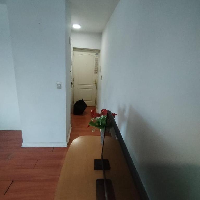 apart milenium mdz - Apartamento de 1 dormitorio - 2