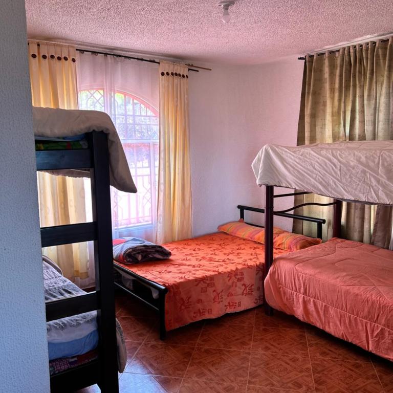 Finca Dinastia - Four-Bedroom House - 2