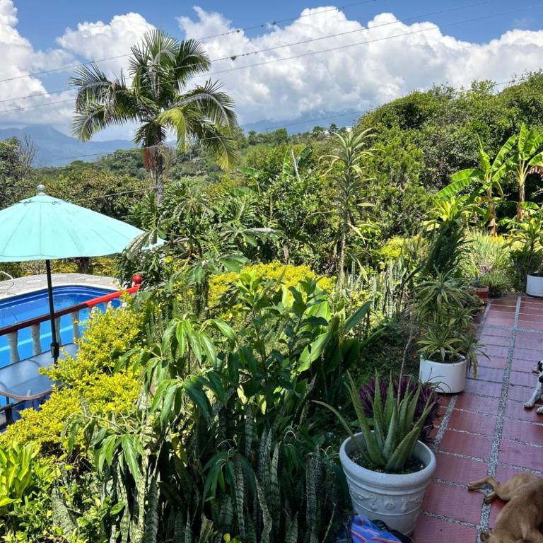 Finca Dinastia - Four-Bedroom House - 12