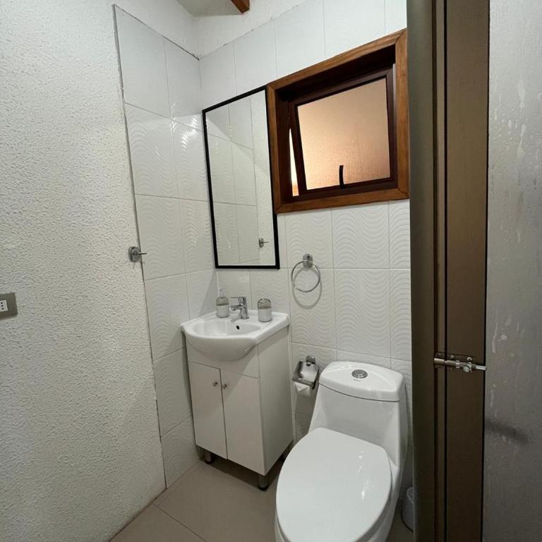 Loica Loft - One-Bedroom Apartment - 10